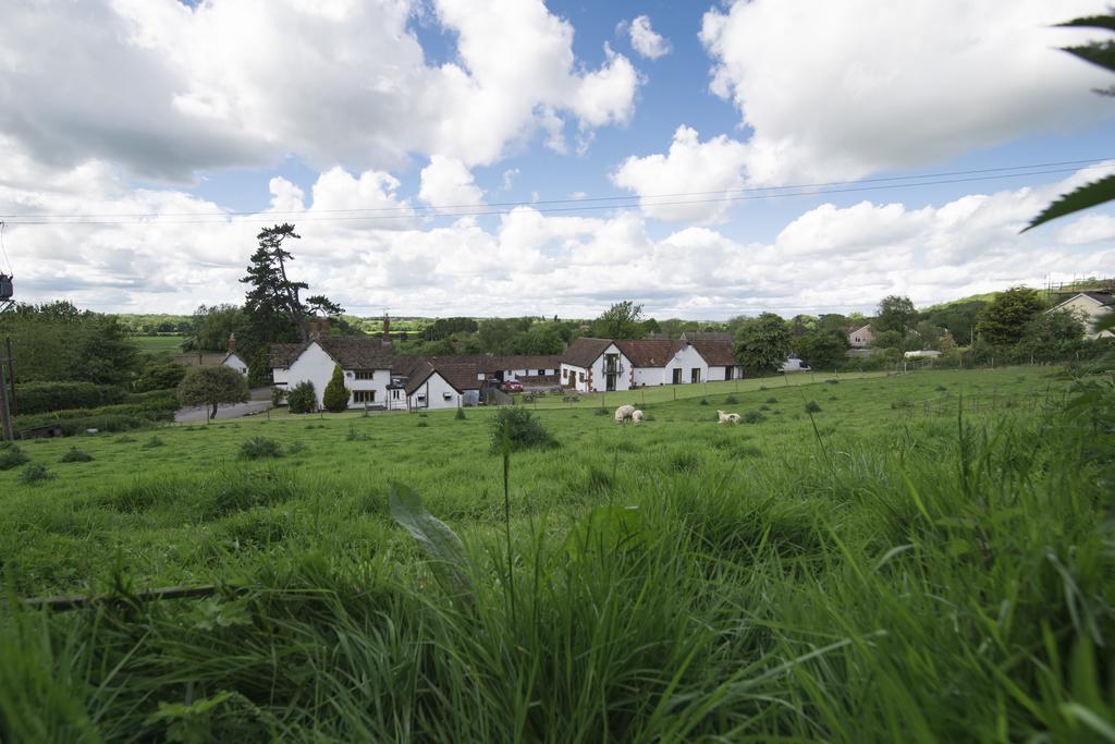 The White Horse Inn Calne Esterno foto